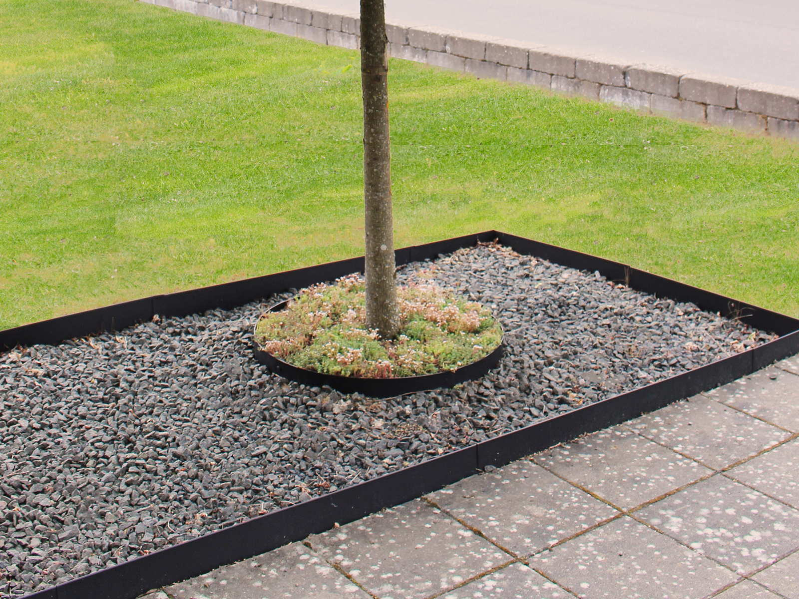 Rabattkant & Trädring