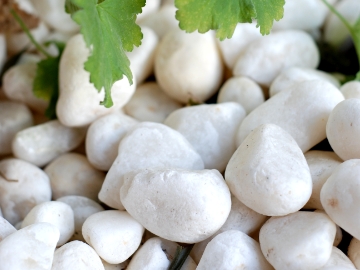 Singel | Dekorsten | Kross